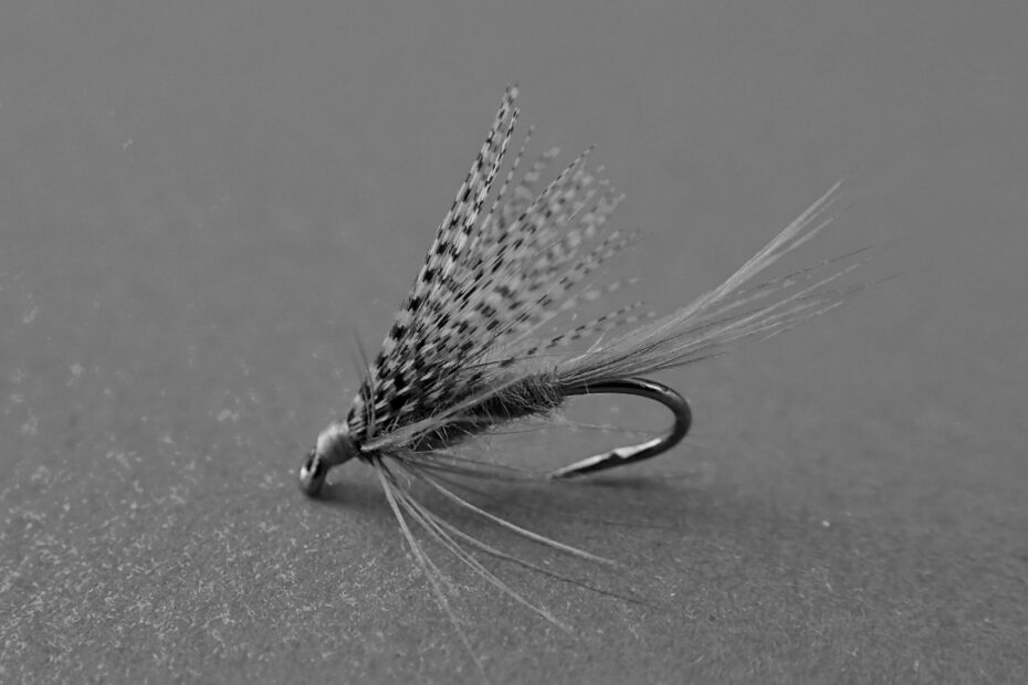 Best Fly Fishing Wet Flies
