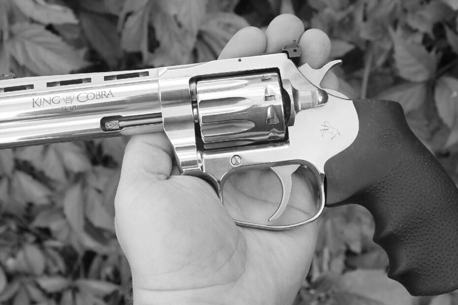 Best Gun Snakes