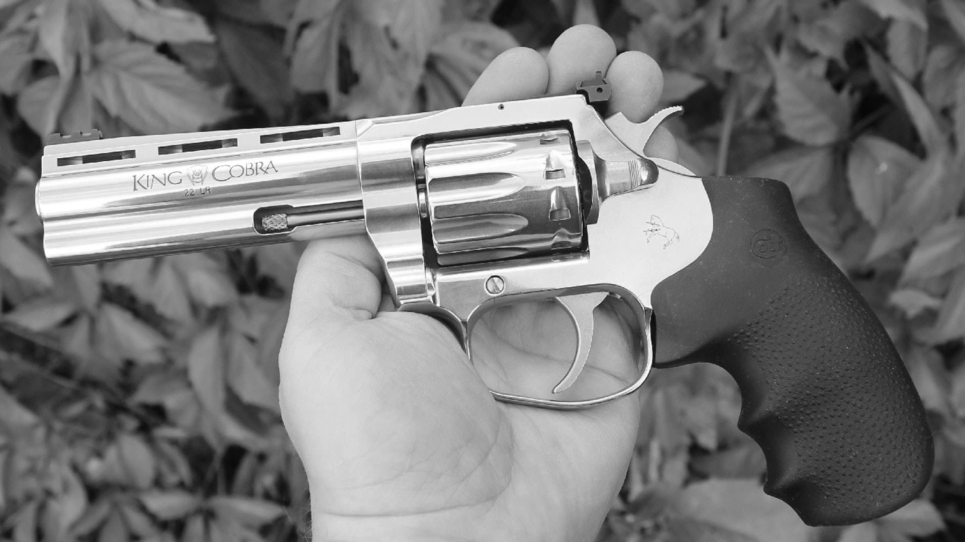 Best Gun Snakes