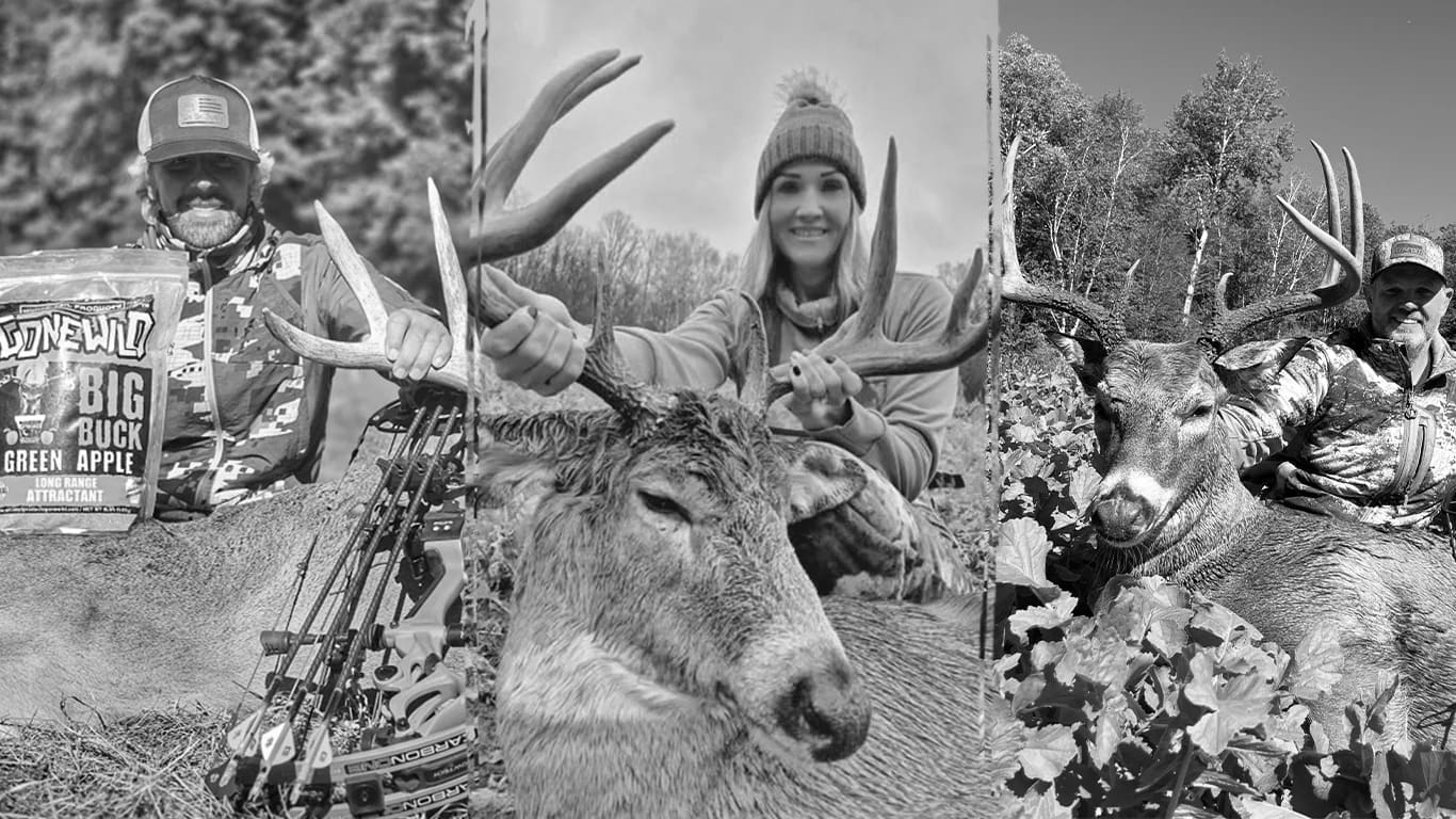 Best Hunting Game Feed & Attractants