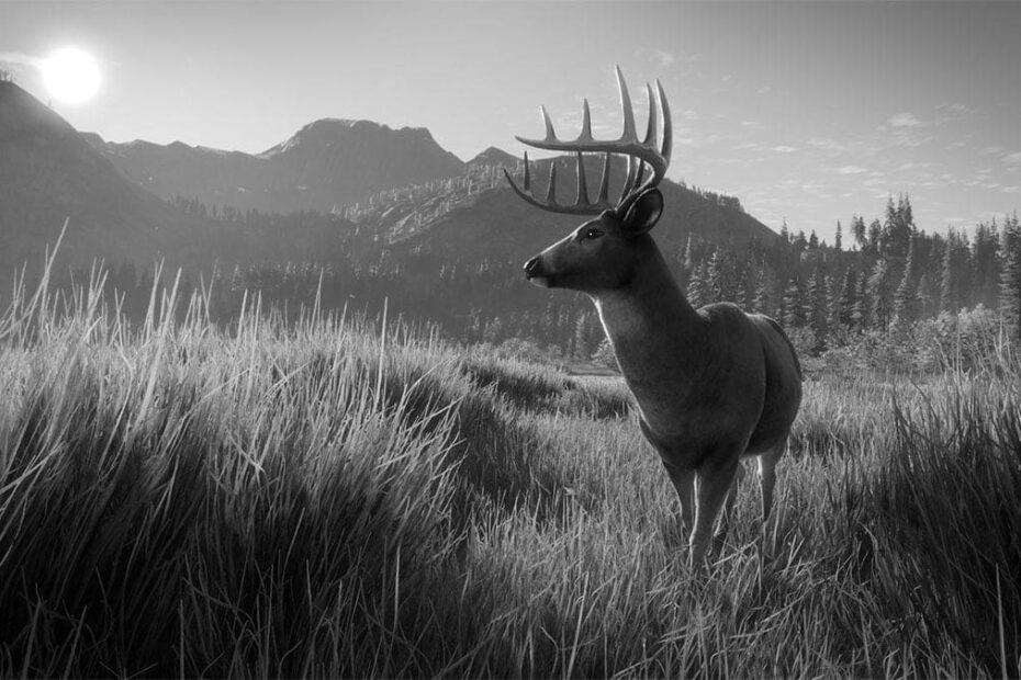 Best Hunting Game Handling