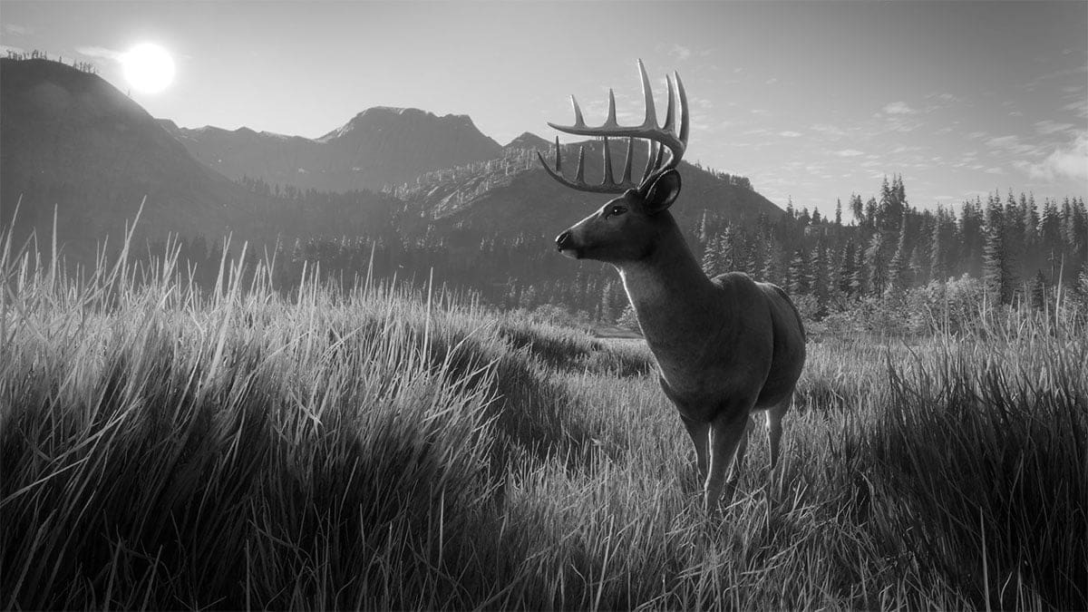 Best Hunting Game Handling
