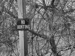 Best Hunting Signs