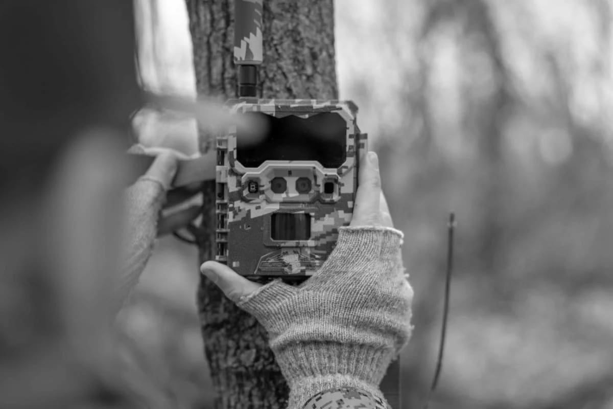 Best Hunting & Trail Cameras