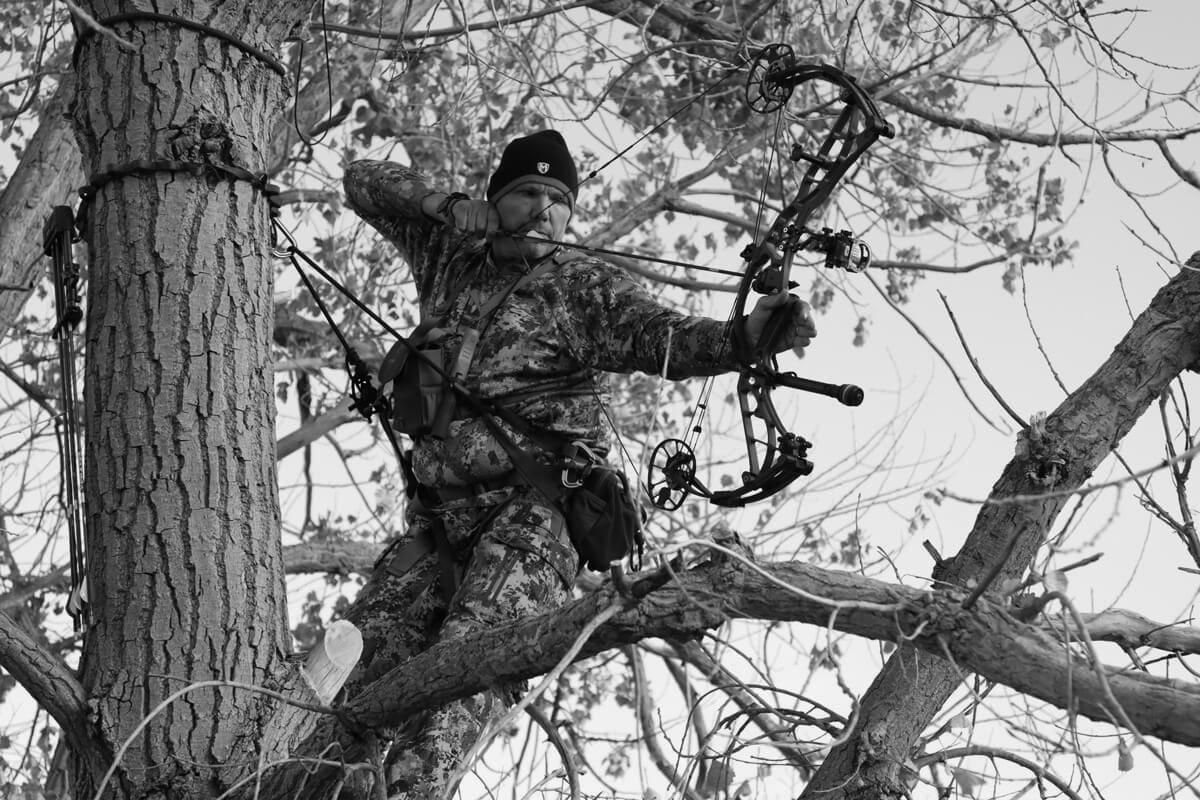 Best Hunting Tree Steps