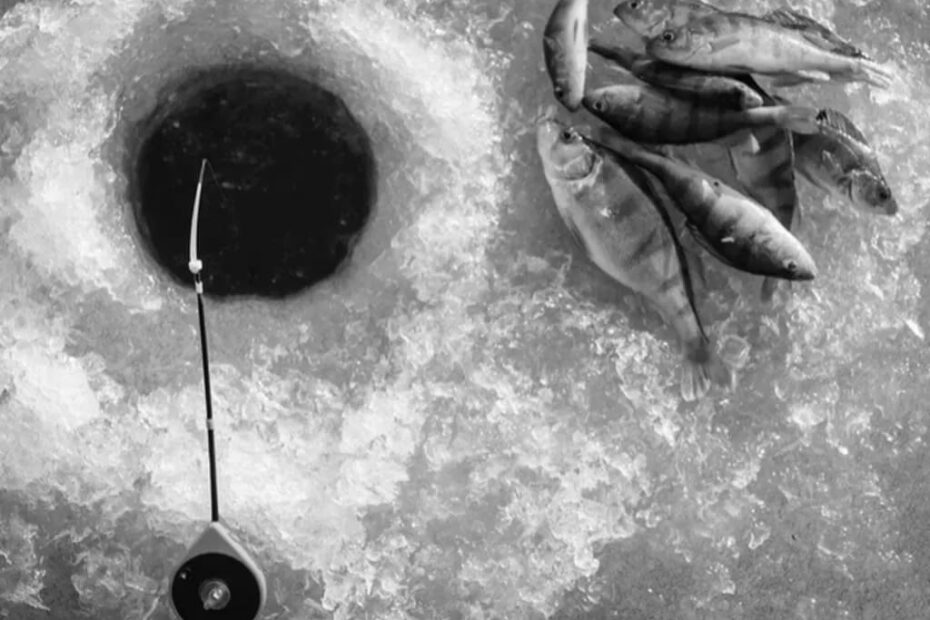 Best Ice Fishing Ice Spearing Equipment