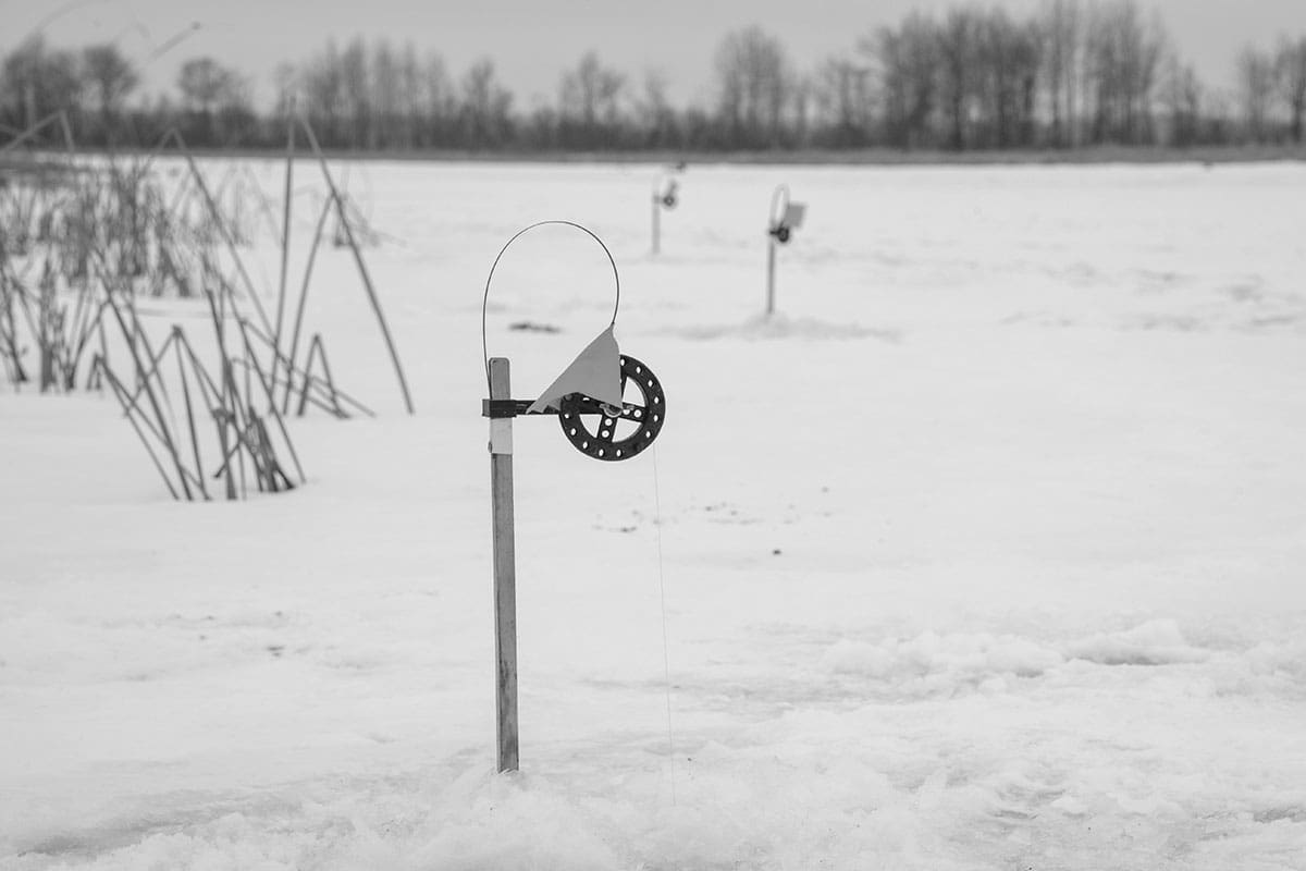 Best Ice Fishing Tip Ups