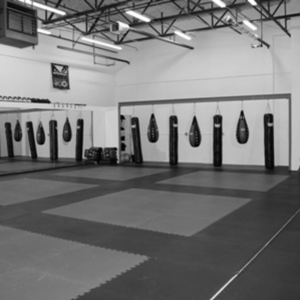 Best MMA Gyms in Chicago Illinois