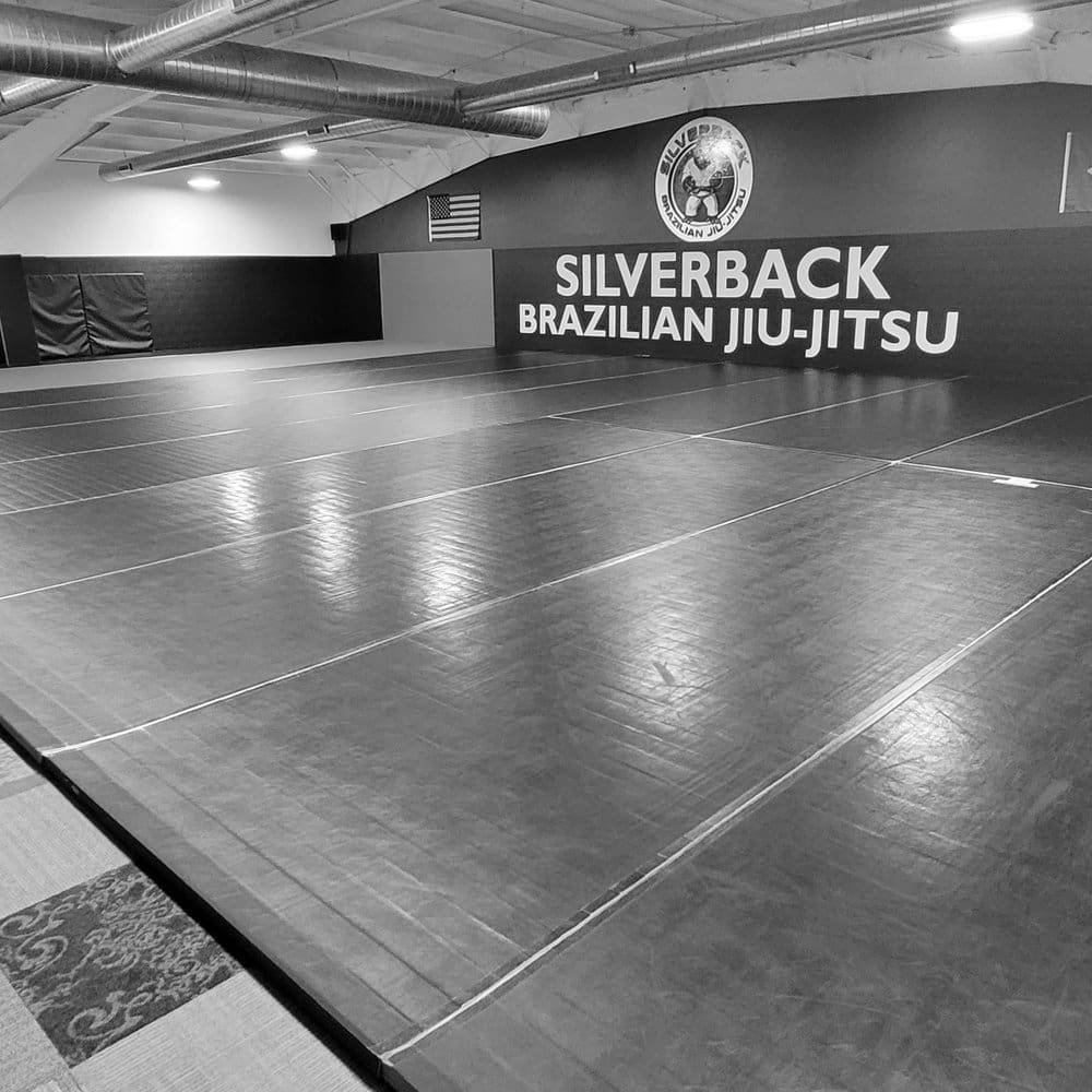 Best MMA Gyms in Manitowoc WI
