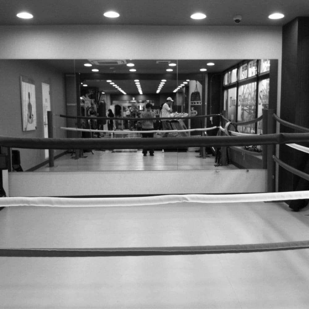 Best MMA Gyms in Odawara Japan