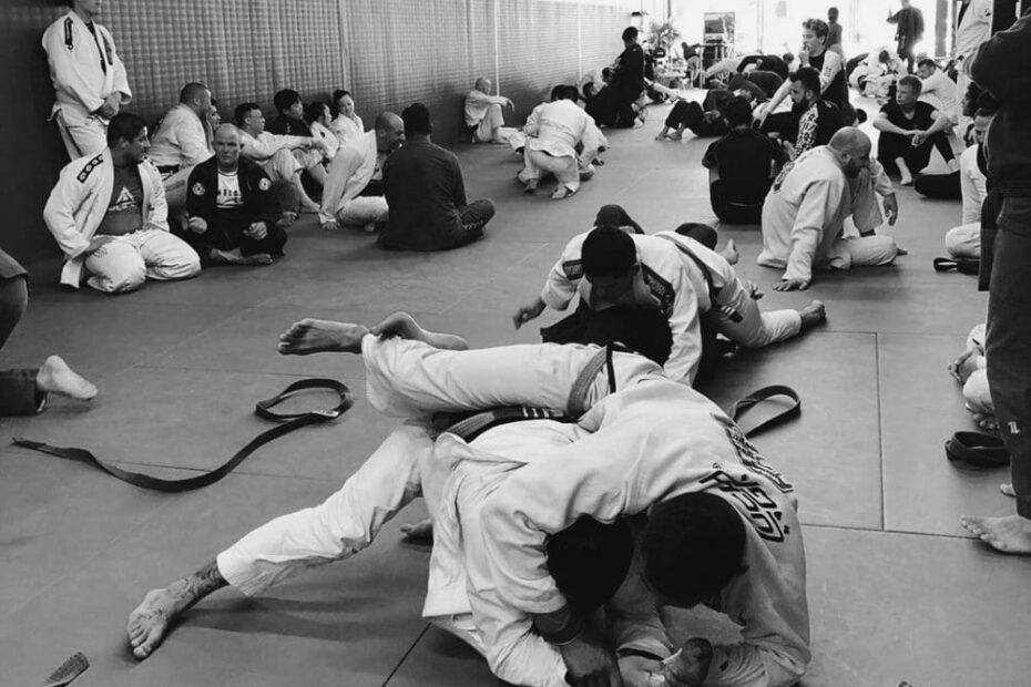 Best MMA Gyms in Santa Ana CA