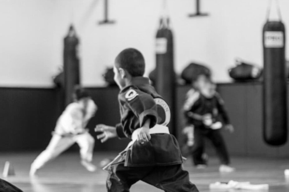 Best MMA Gyms in Santa Barbara CA