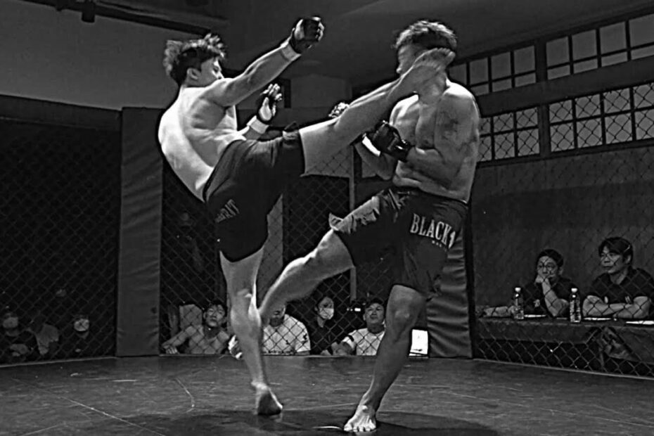 Best MMA Gyms in Seongnam, South Korea