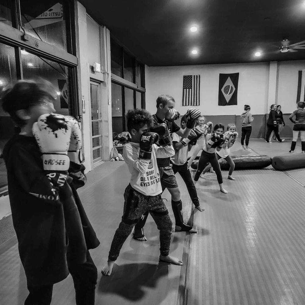 Best MMA Gyms in Springfield, MO
