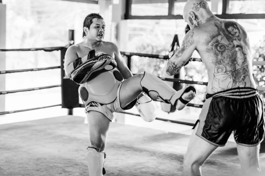 Best MMA Shin Guards