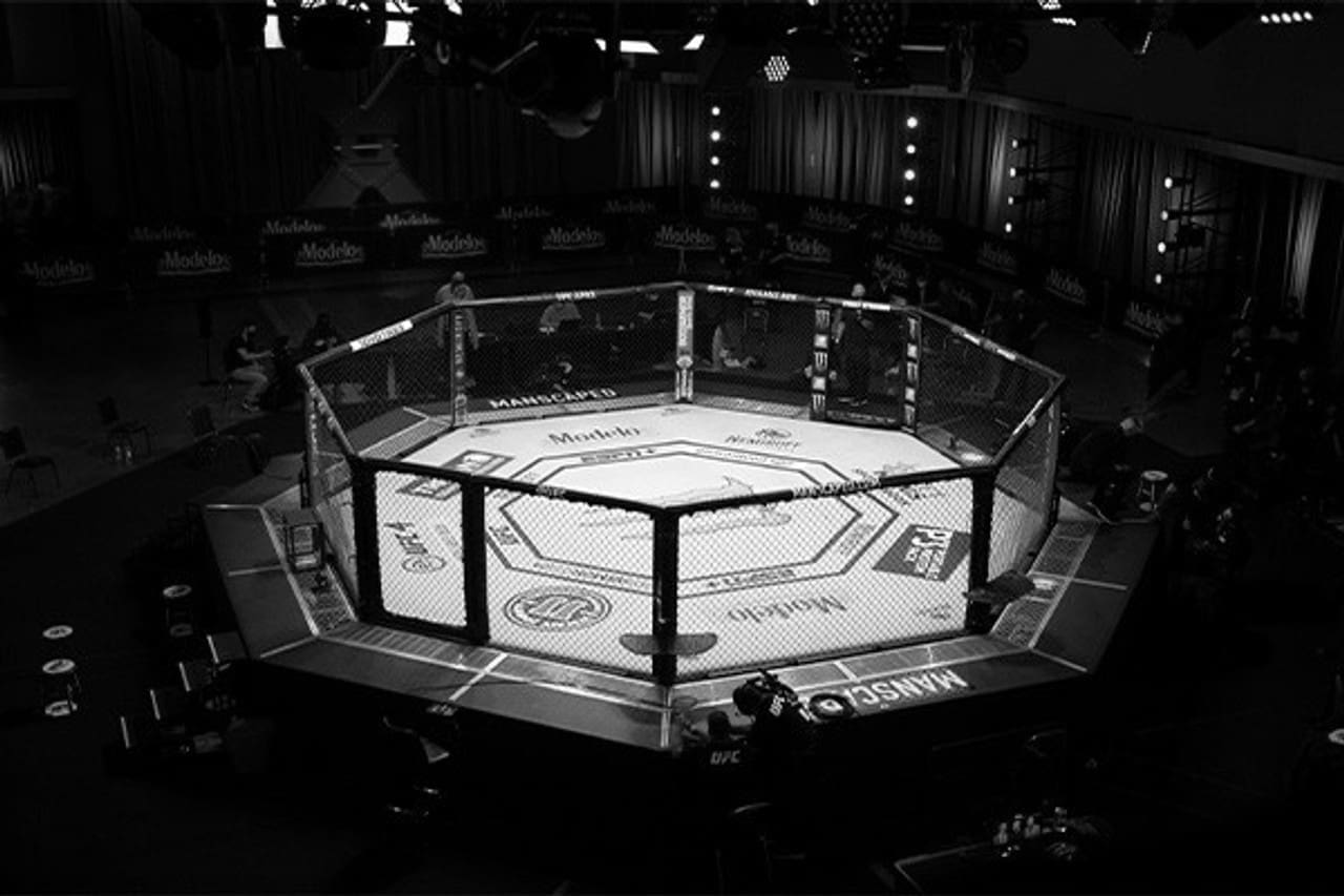 Best MMA Target Boards
