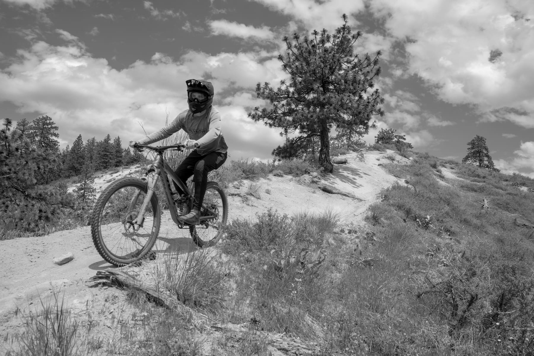 Best Mens Mountain Bike Pants