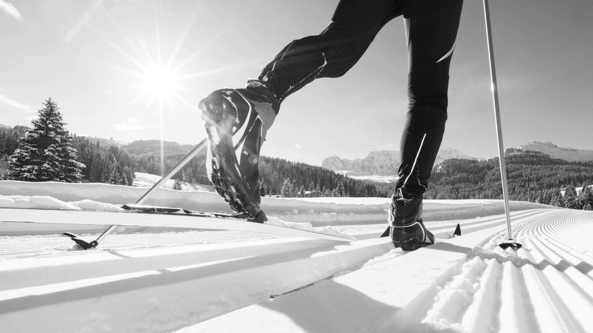 Best Nordic Ski Boots