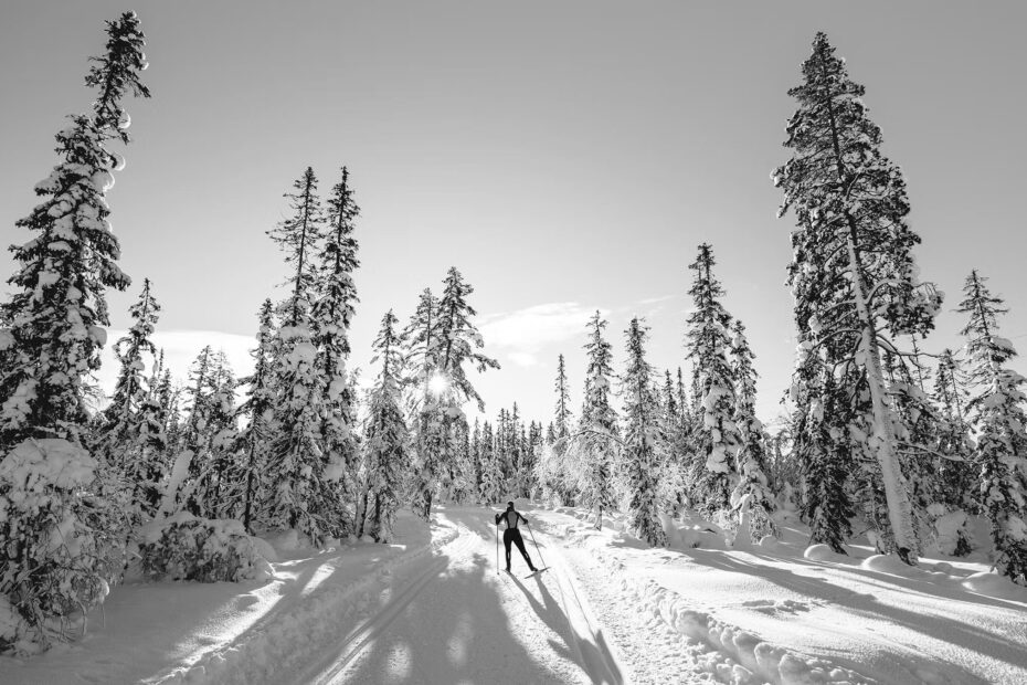 Best Nordic Skis