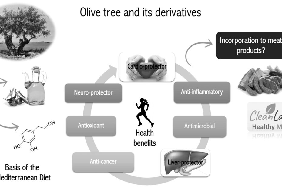 Best Olive Leaf Herbal Supplements
