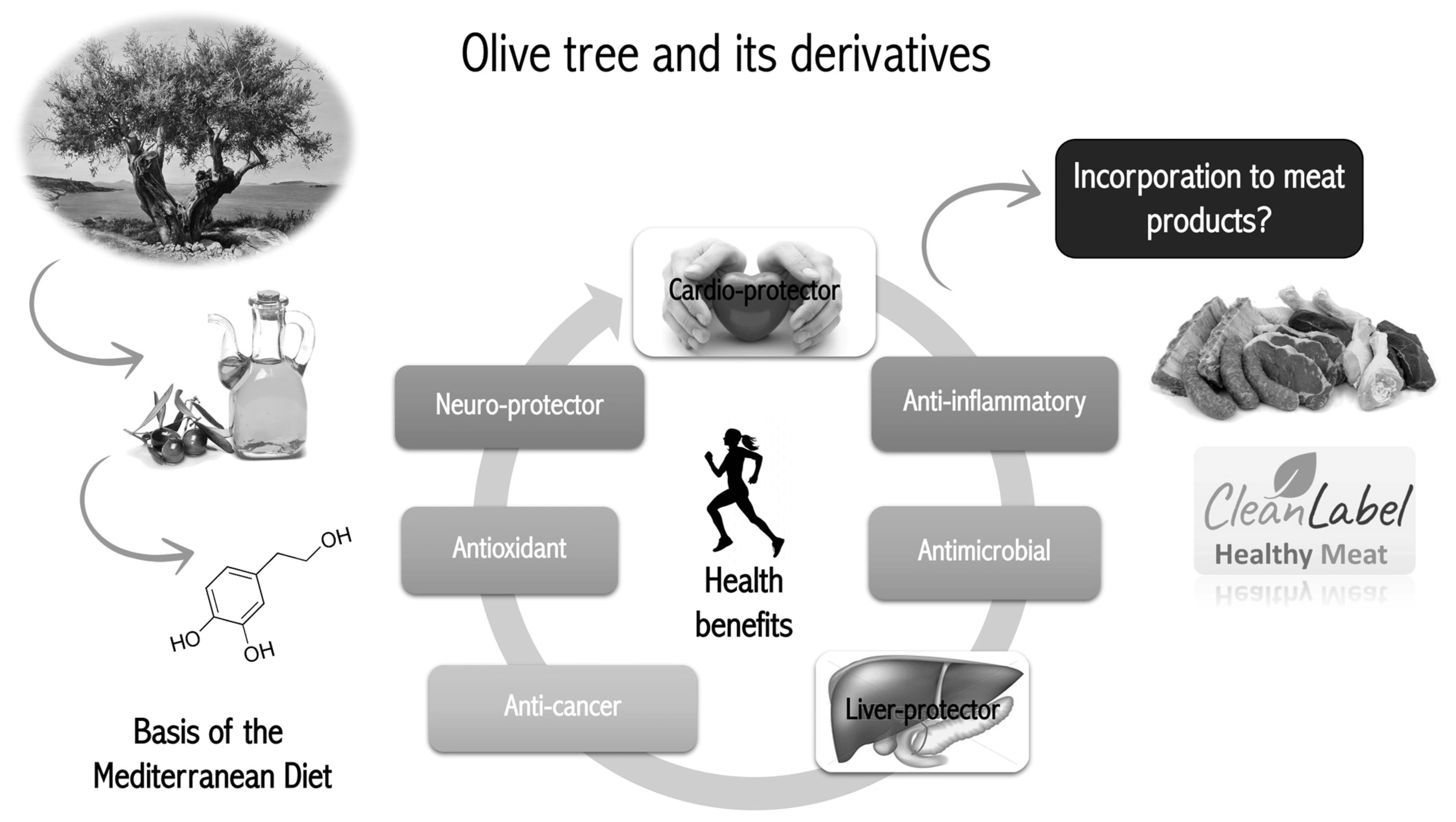 Best Olive Leaf Herbal Supplements