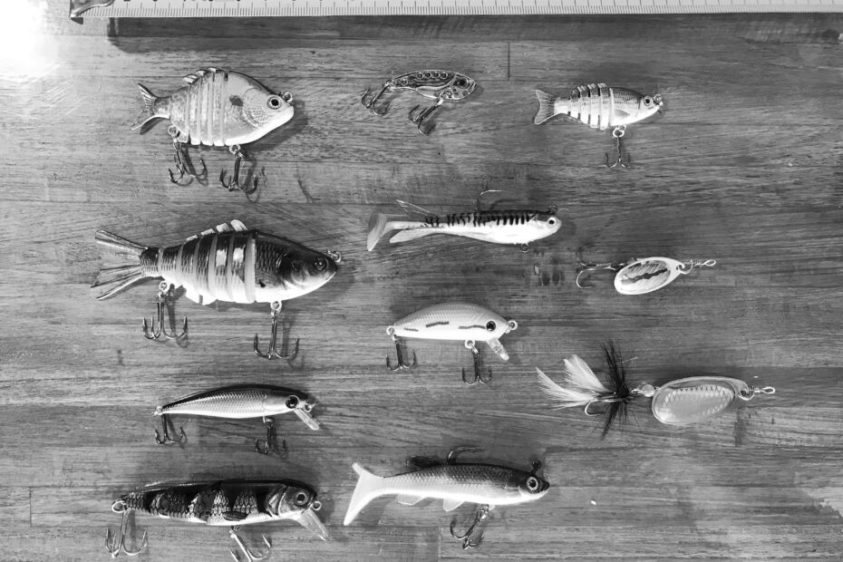 Best Predator Calls & Lures