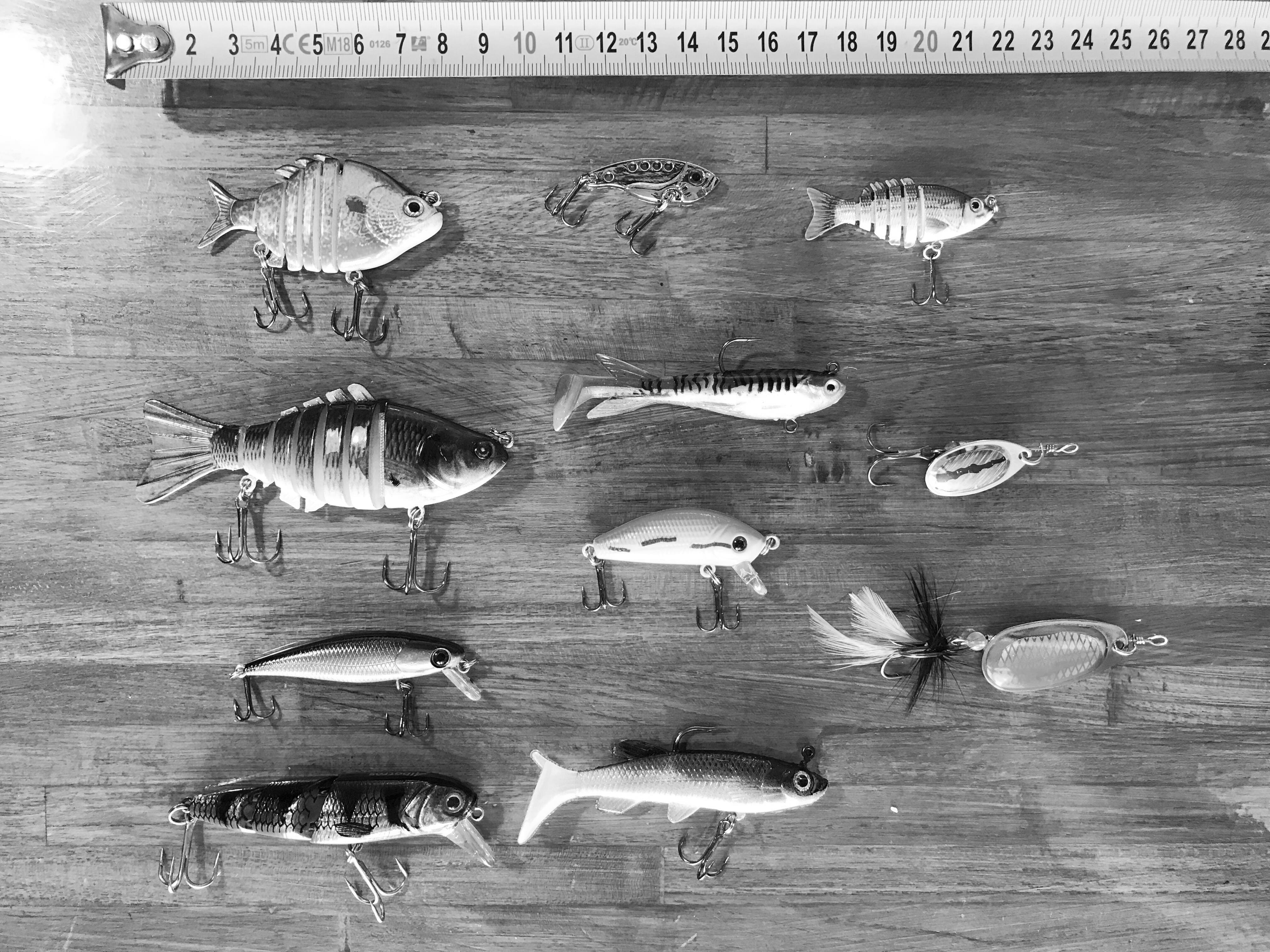 Best Predator Calls & Lures