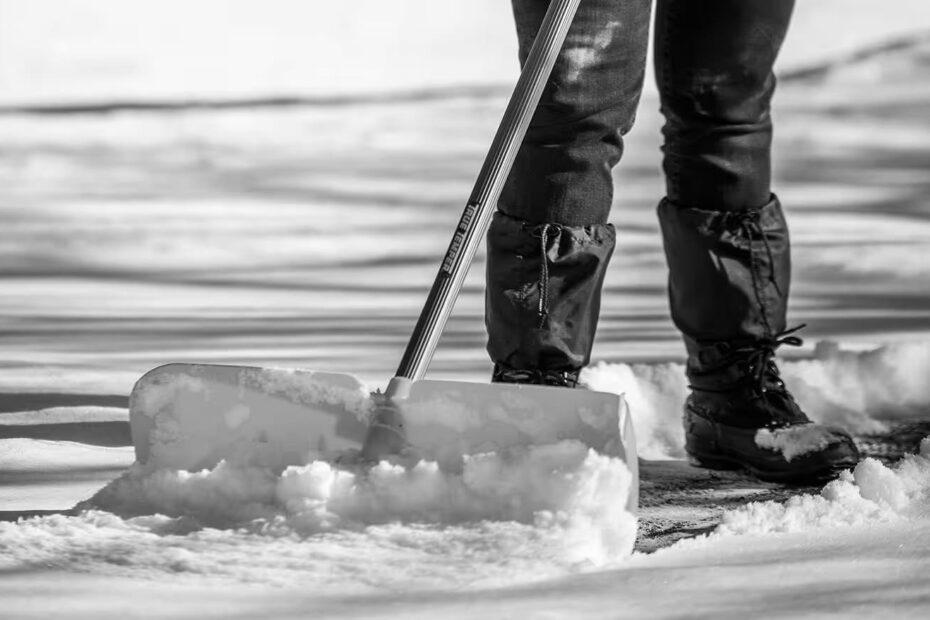 Best Snow Shovels