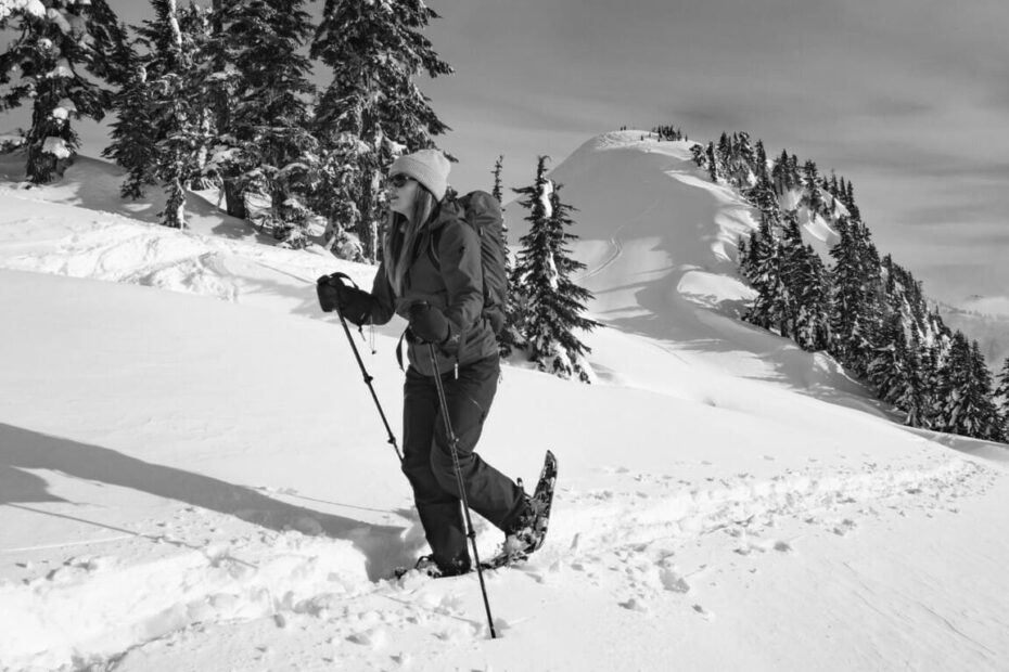 Best Snowshoe Poles