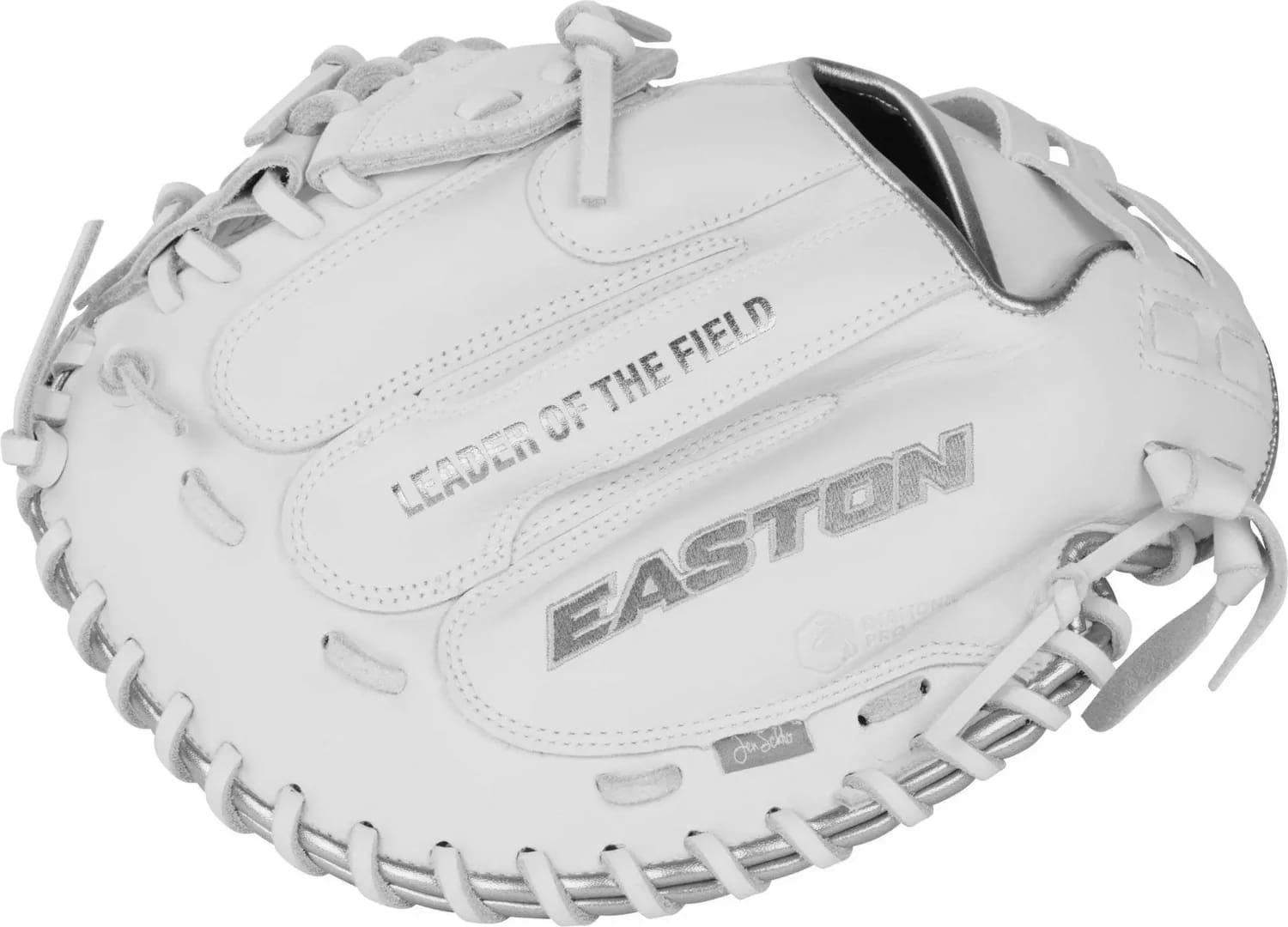 Best Softball Catcher's Mitts