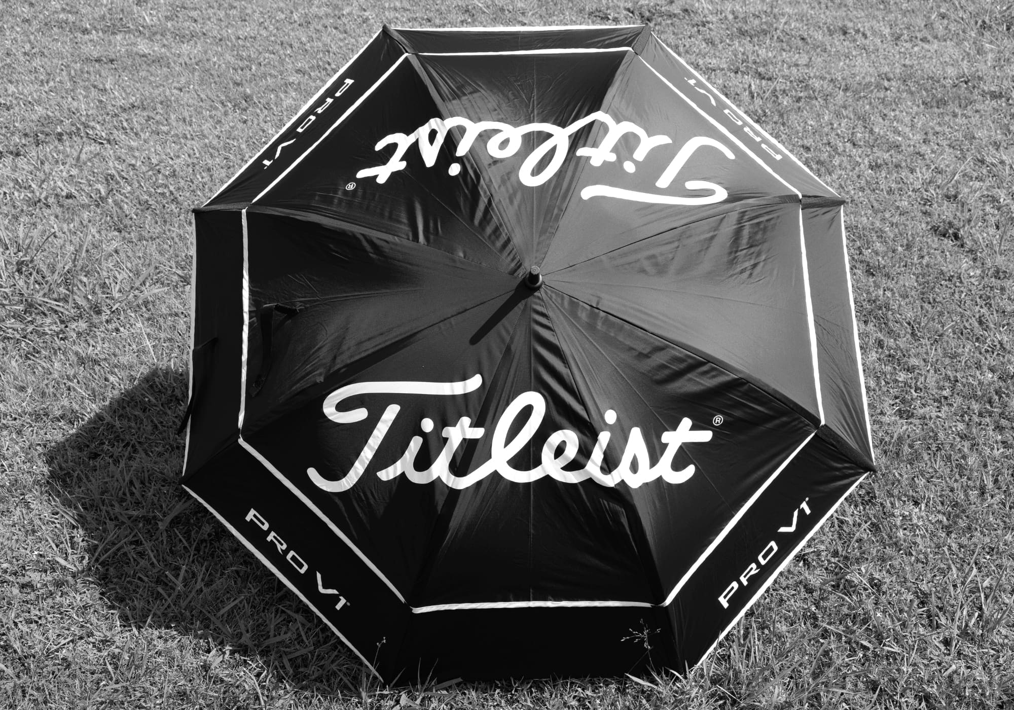 Best Sports Fan Golf Umbrellas