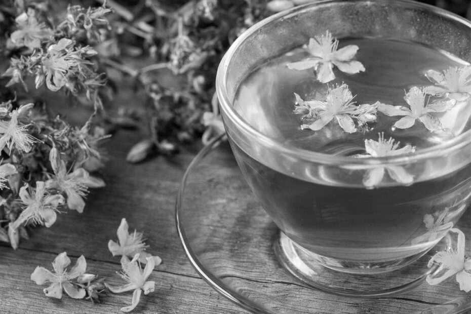 Best St. John's Wort Herbal Supplements