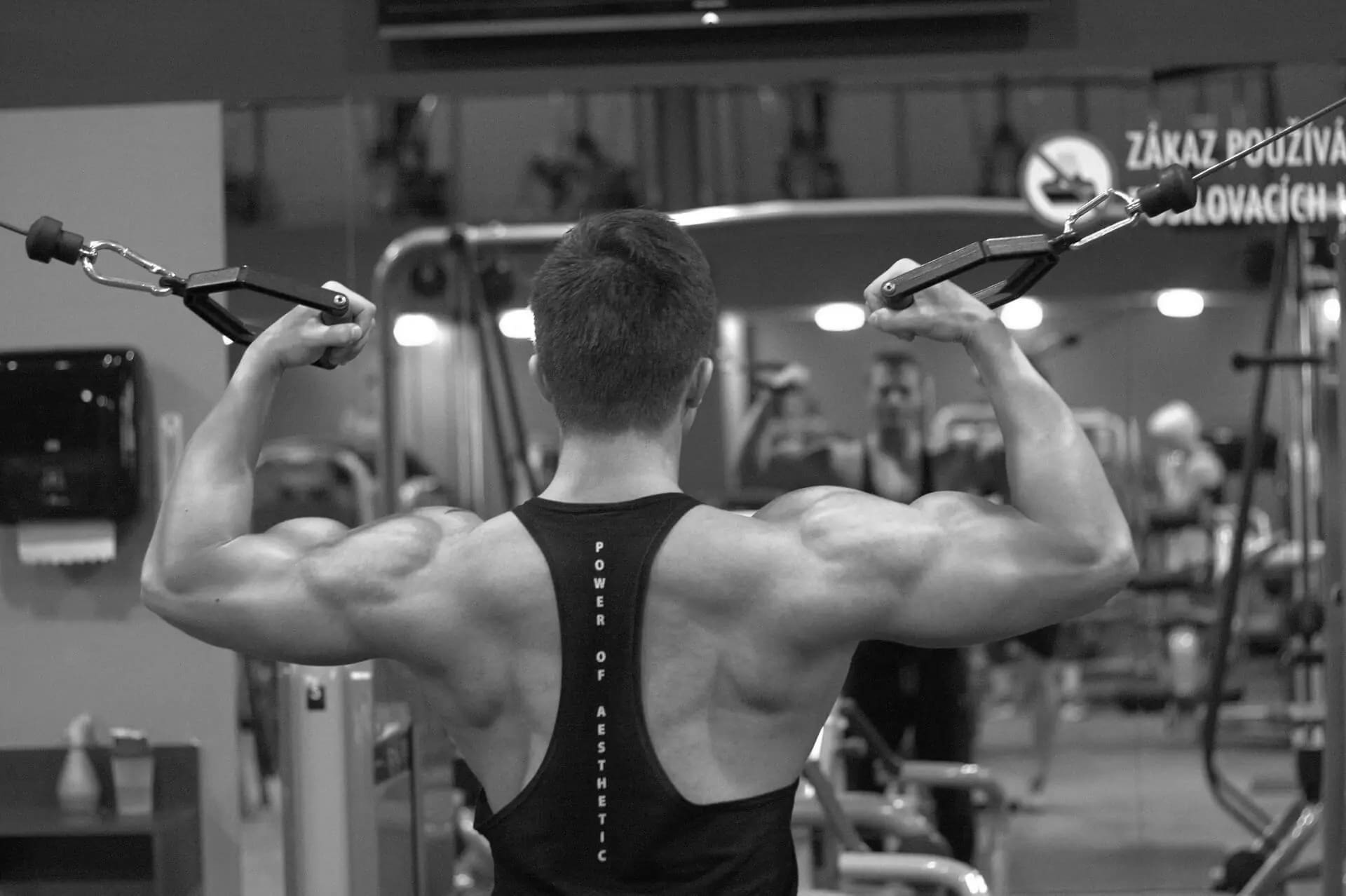 Best Strength Training Equipment