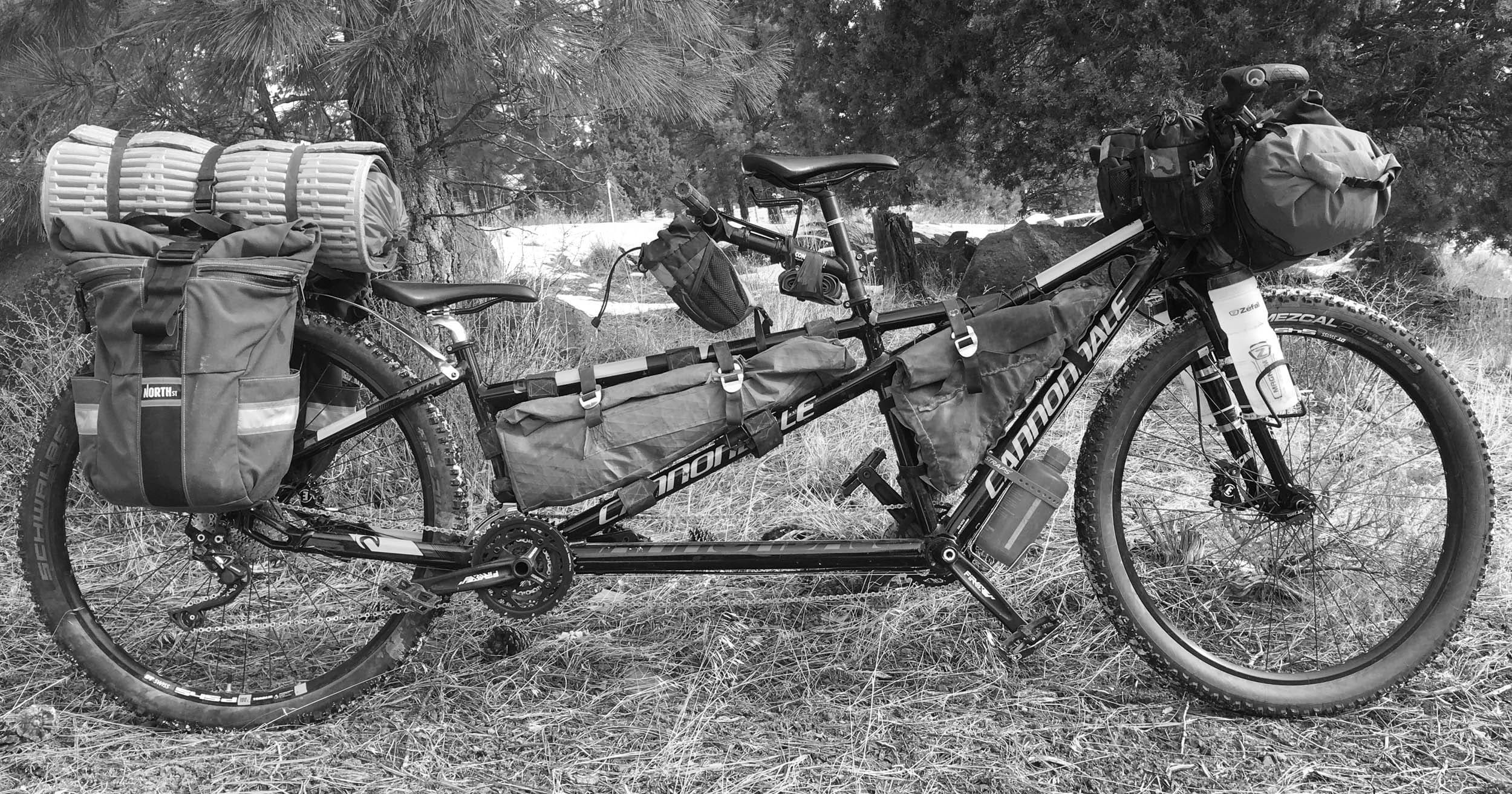 Best Tandem Bikes