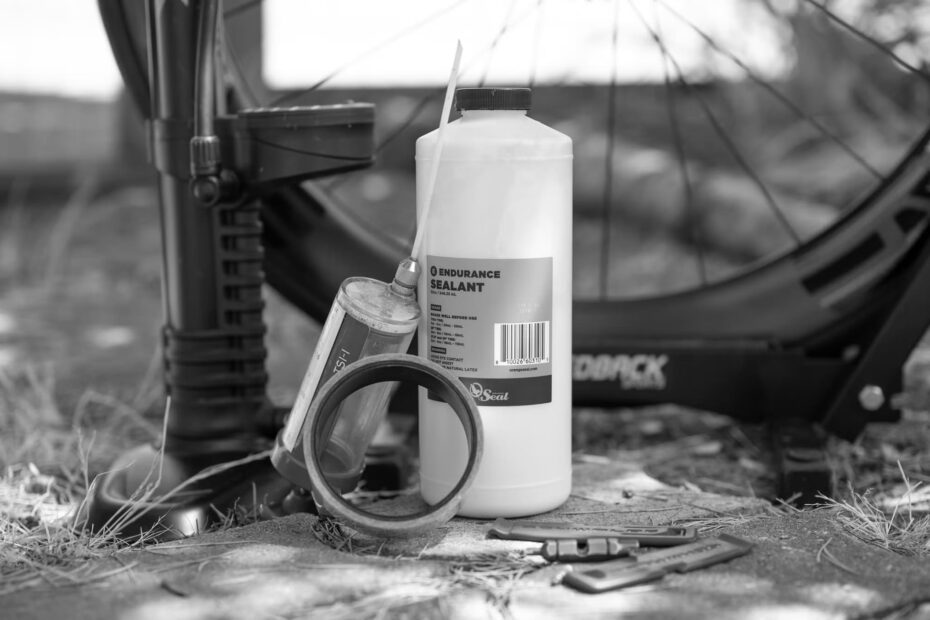 Best Tubeless Bike Tires