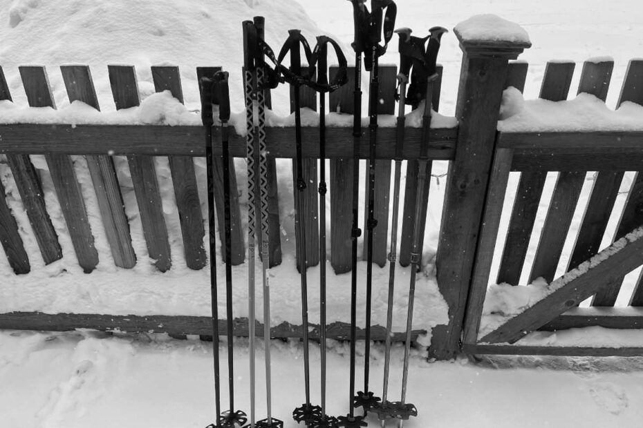 Best Womens Ski Poles