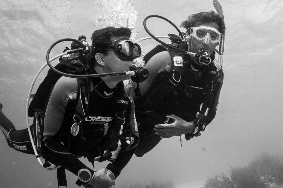 Dive Skins