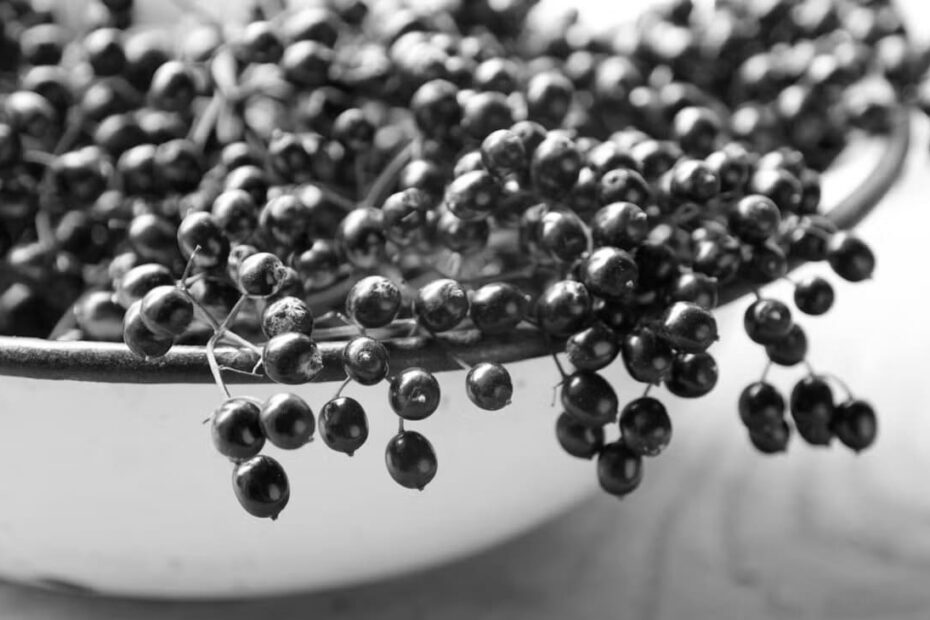 Elderberry Herbal Supplements