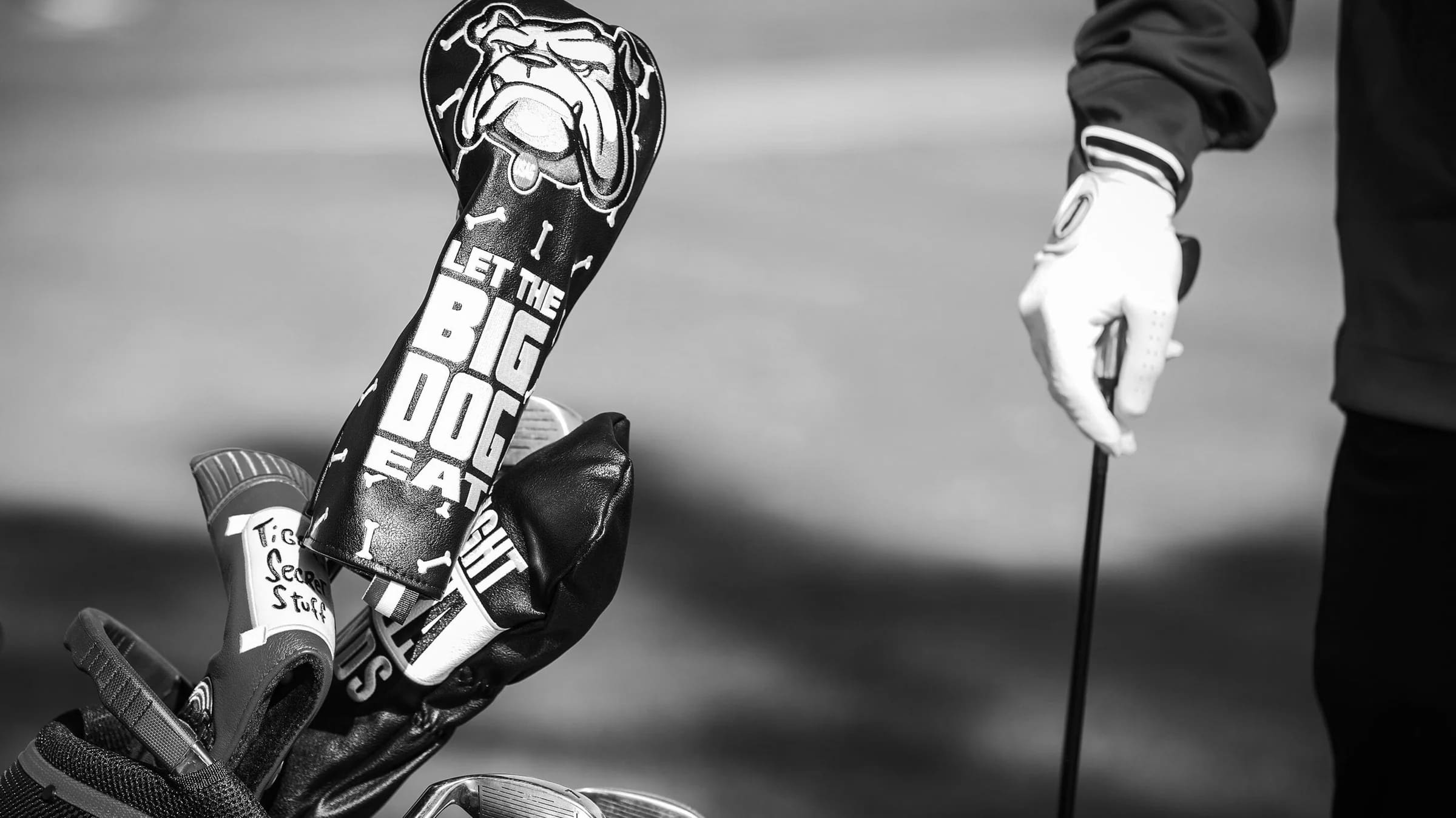 Golf Club Head Covers