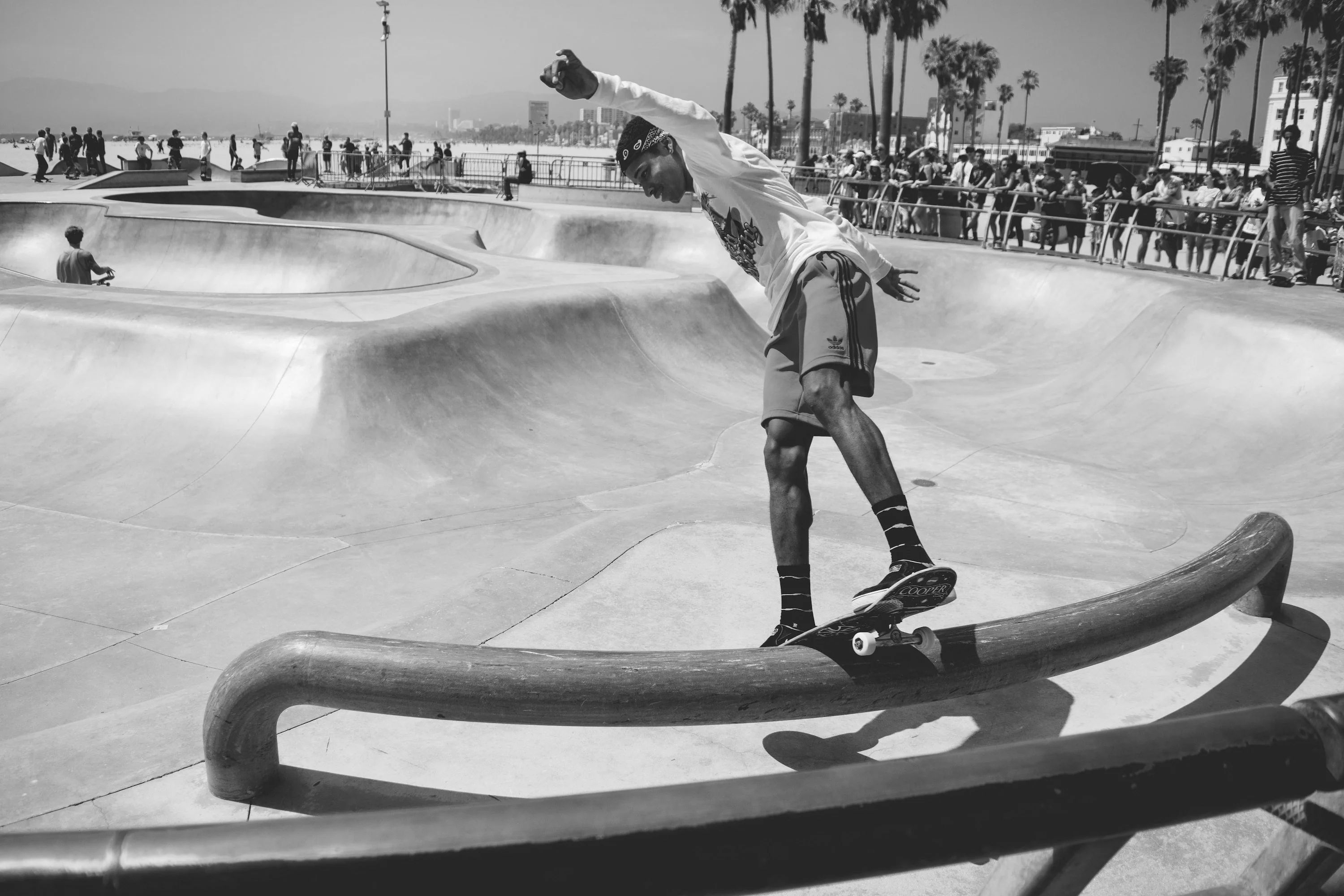 Skateboard Ramps & Rails