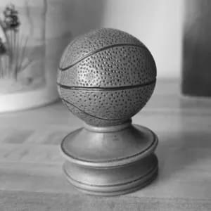 Sports Fan Paperweights