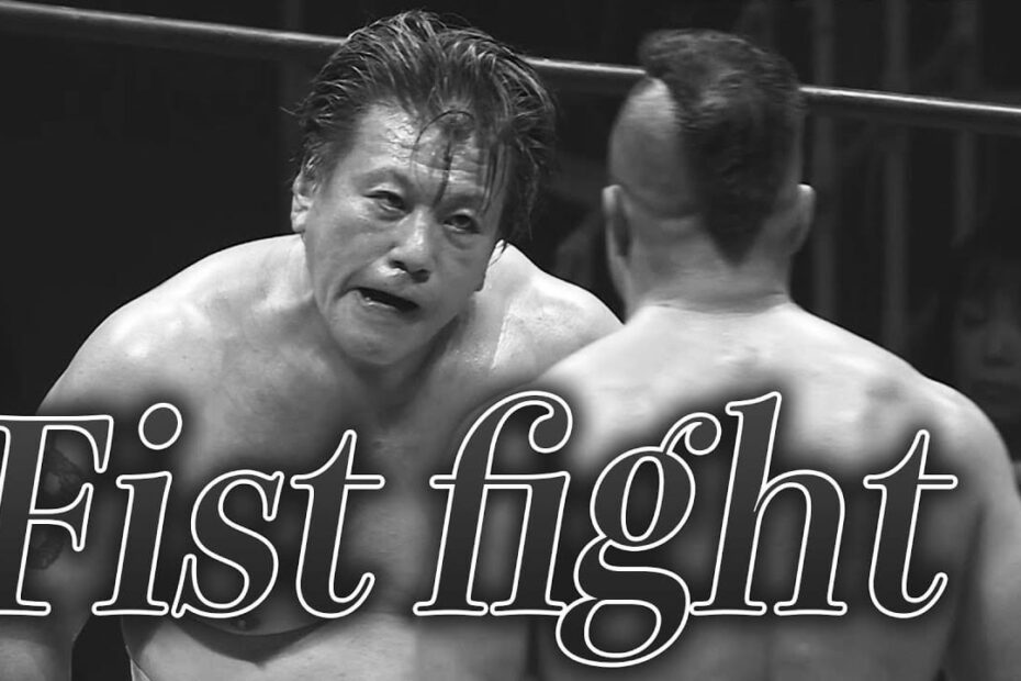 Akitoshi Saito Wrestler