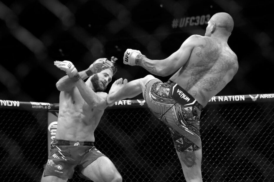 Alex Pereira UFC Fighter