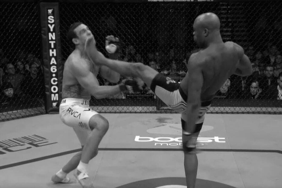 Anderson Silva UFC Fighter