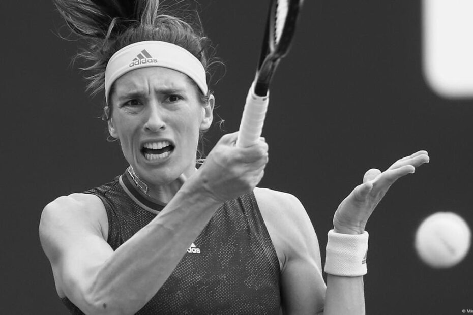 Andrea Petkovic Women's Tennis Player