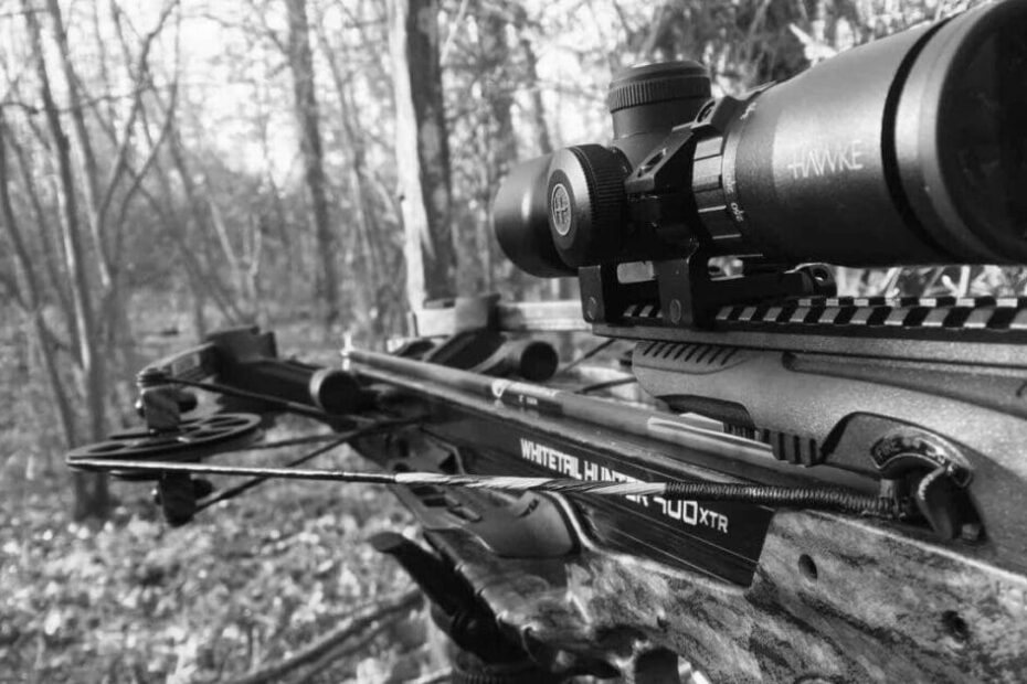 Best Archery Crossbow Scopes