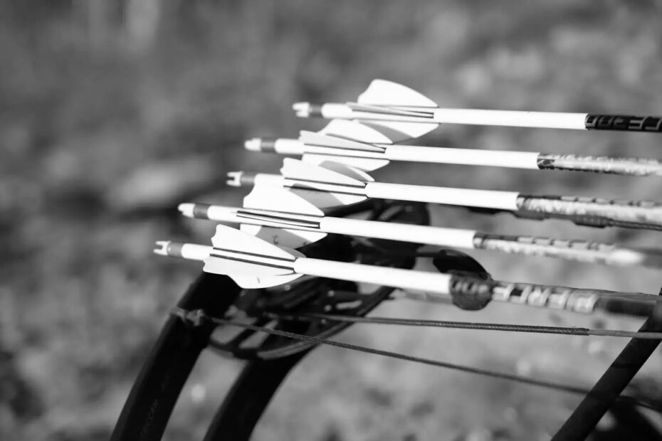 Best Archery Hunting Arrows