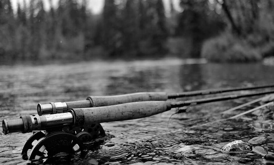 Best Fly Fishing Rods