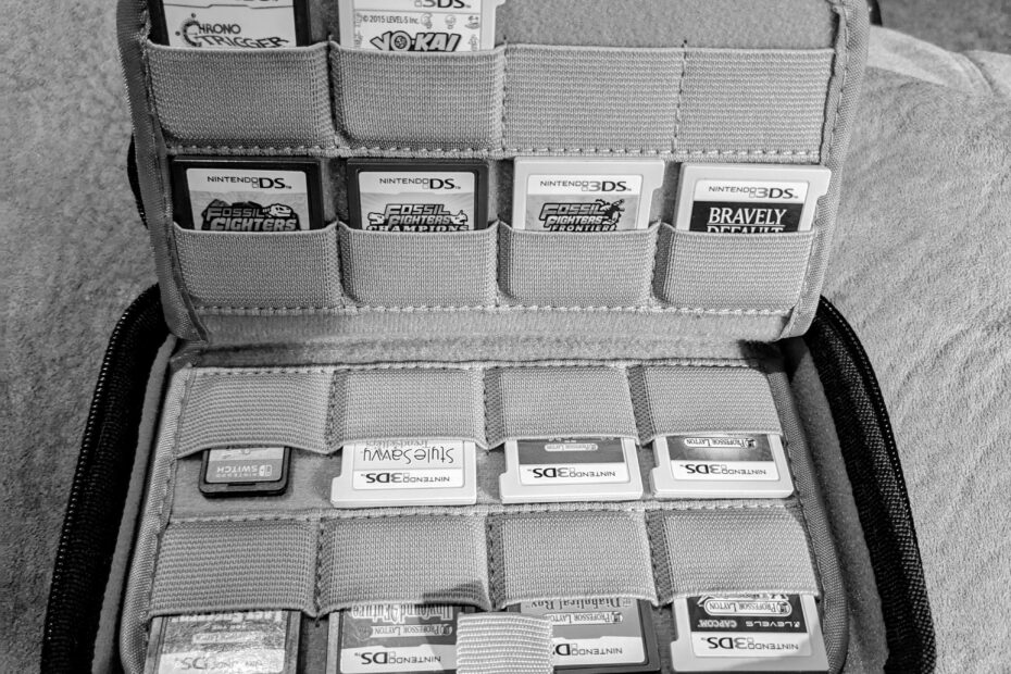 Best Nintendo DS Cases & Storage