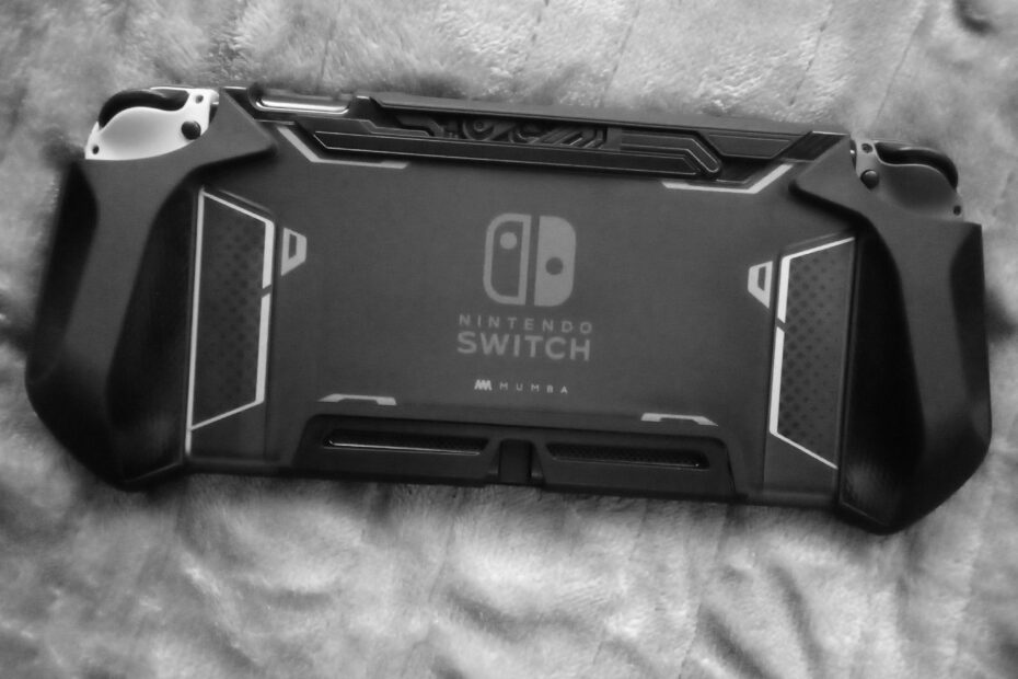 Best Nintendo Switch Hand Grips